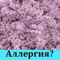 Как бороться со стрессом, вызванным работой в офисе. Это аллергия? Или что-то дру...